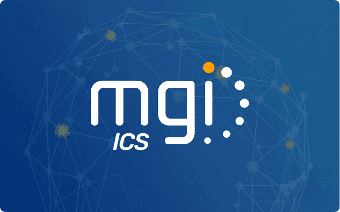 MGI Import Control System